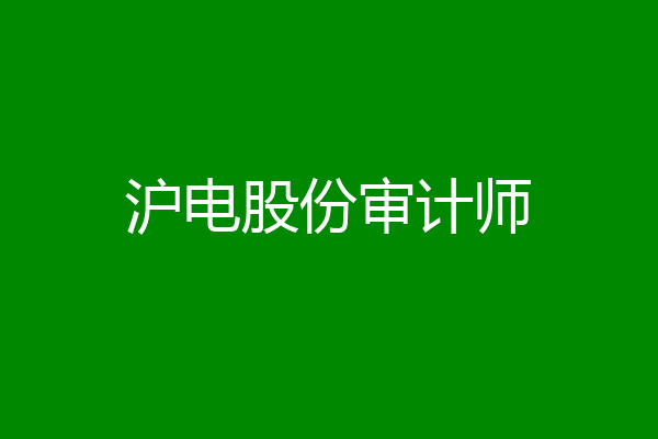 沪电股份审计师