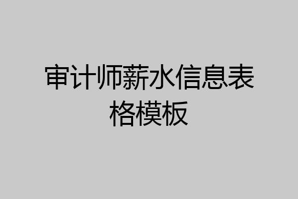 审计师薪水信息表格模板