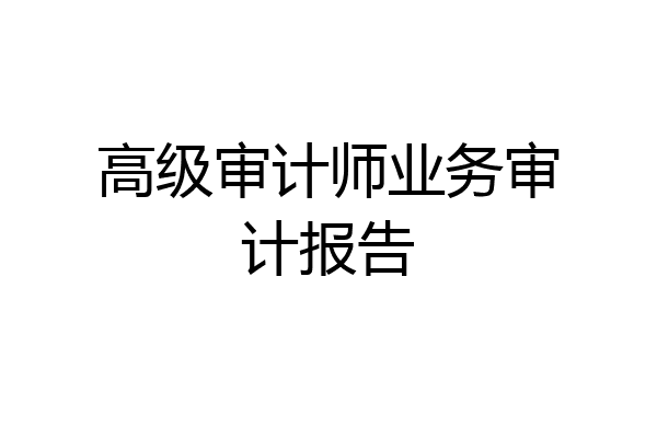 高级审计师业务审计报告
