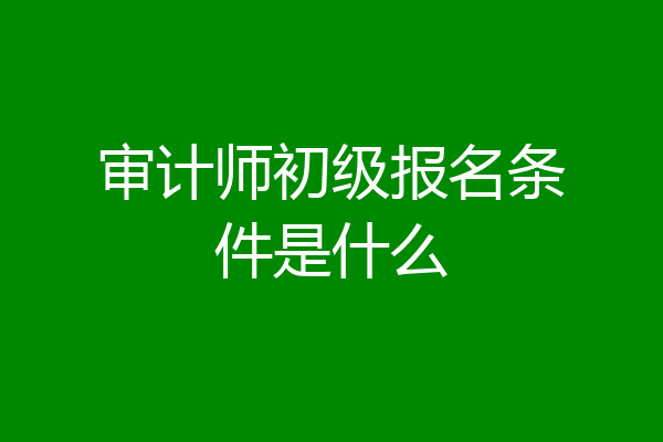 审计师初级报名条件是什么