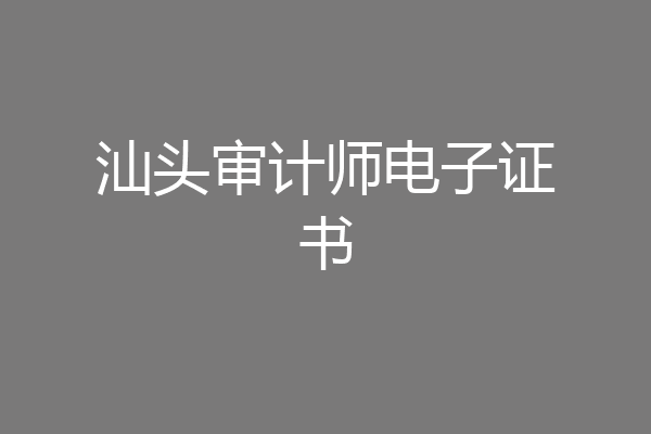 汕头审计师电子证书