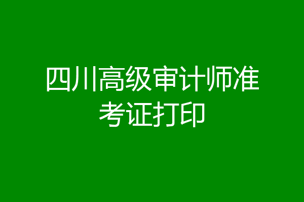 四川高级审计师准考证打印