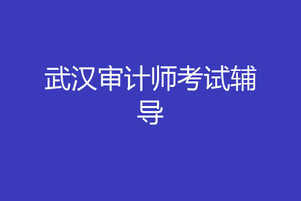 武汉审计师考试辅导