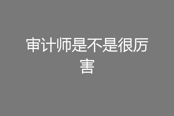 审计师是不是很厉害