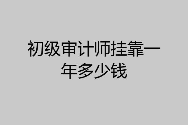 初级审计师挂靠一年多少钱