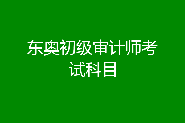东奥初级审计师考试科目