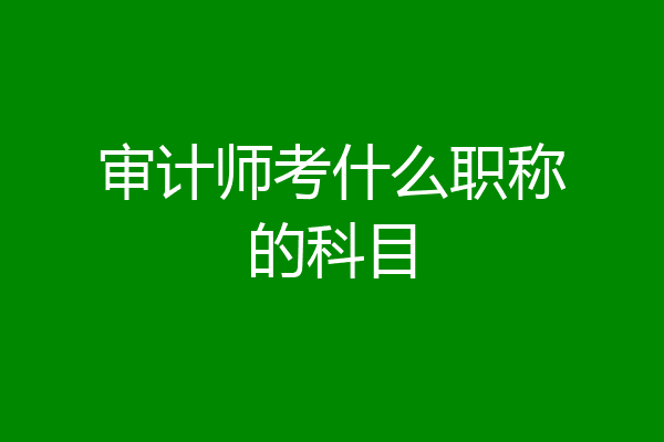 审计师考什么职称的科目