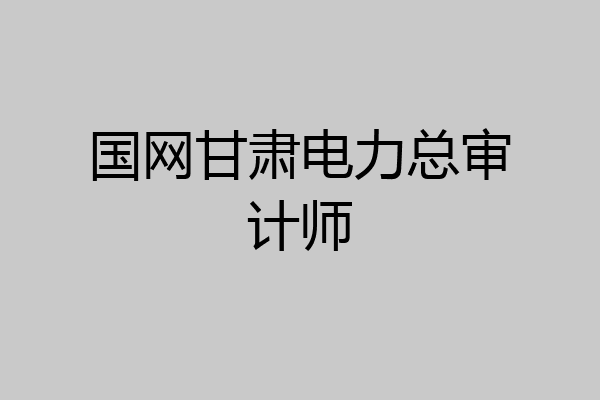 国网甘肃电力总审计师