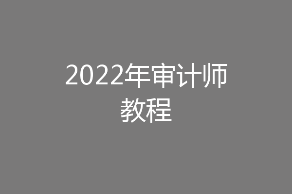 2022年审计师教程