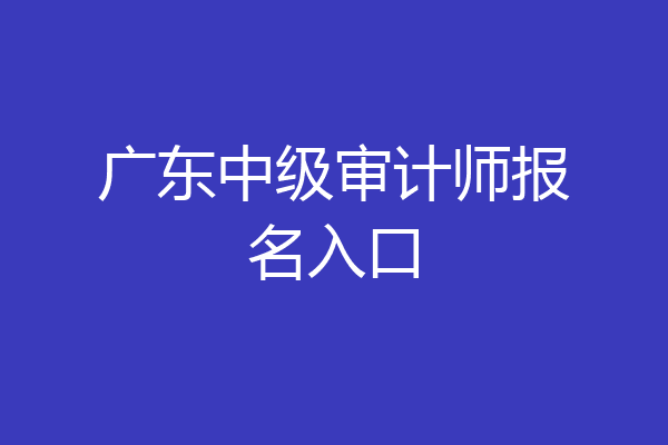 广东中级审计师报名入口