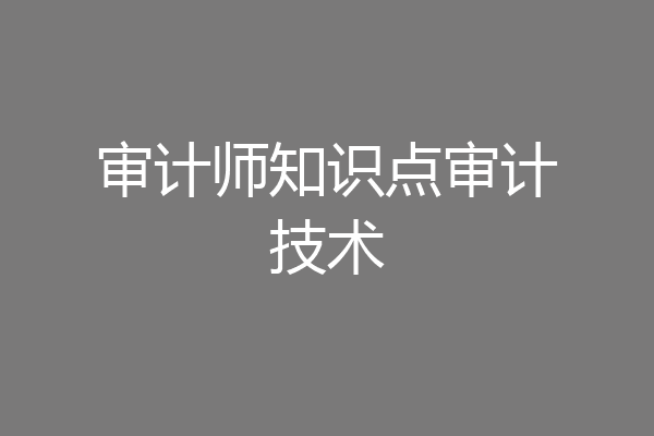 审计师知识点审计技术