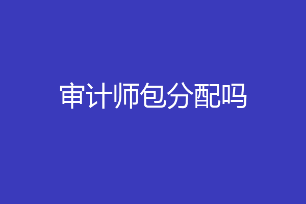 审计师包分配吗
