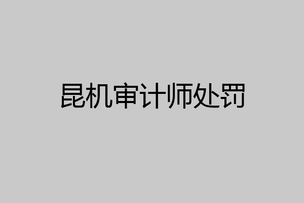 昆机审计师处罚