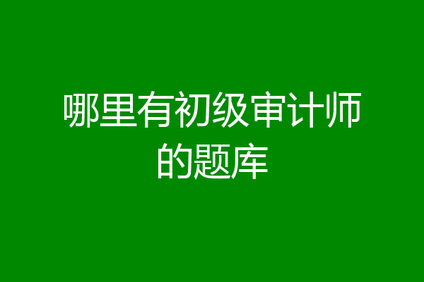 哪里有初级审计师的题库