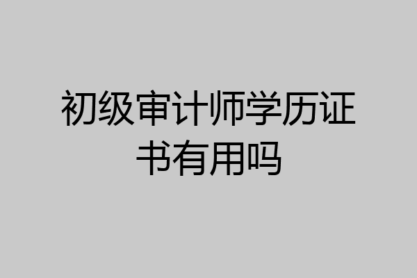 初级审计师学历证书有用吗