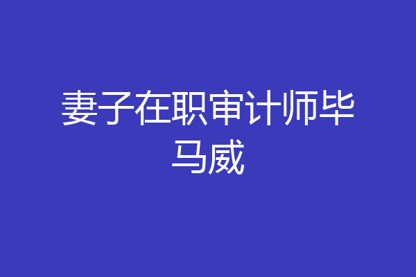 妻子在职审计师毕马威