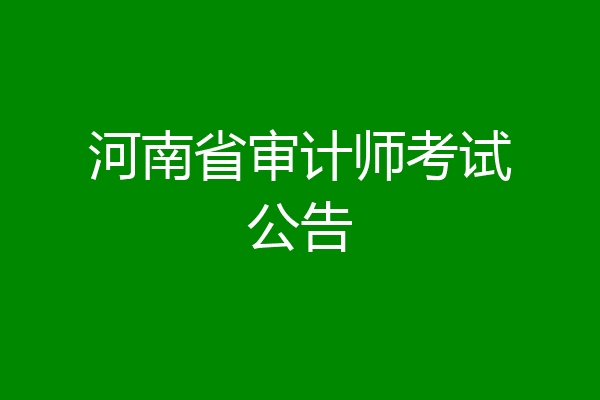 河南省审计师考试公告