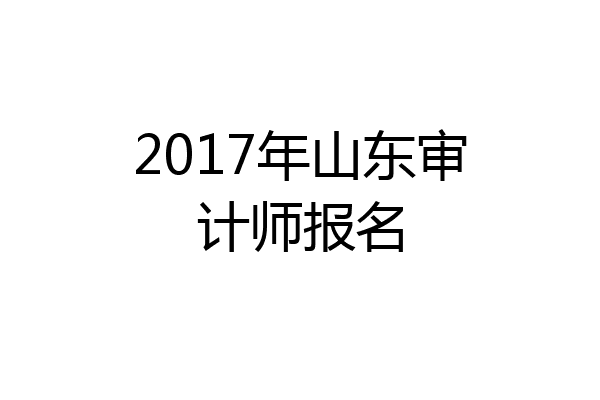2017年山东审计师报名