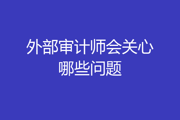 外部审计师会关心哪些问题