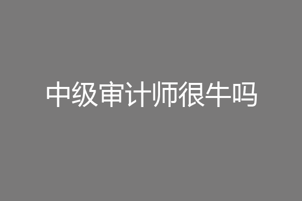 中级审计师很牛吗