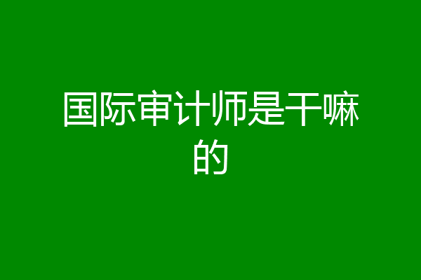 国际审计师是干嘛的