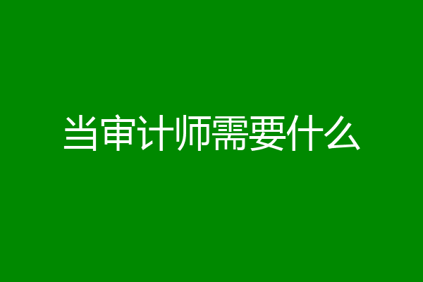 当审计师需要什么