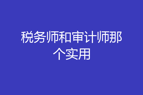 税务师和审计师那个实用