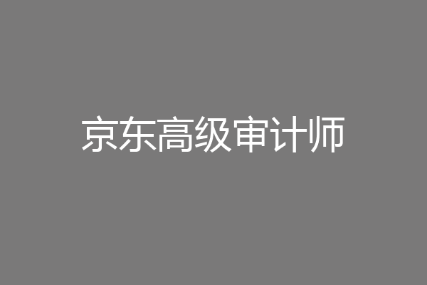 京东高级审计师
