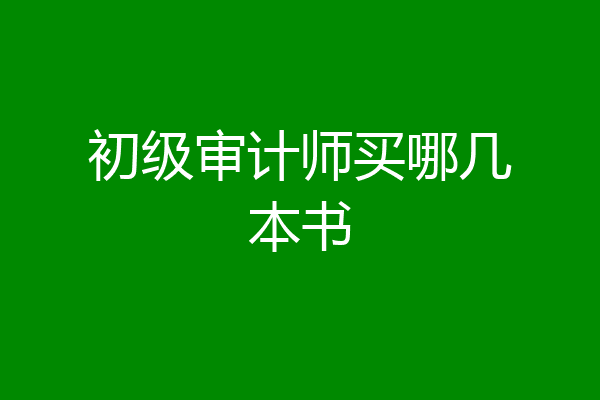 初级审计师买哪几本书