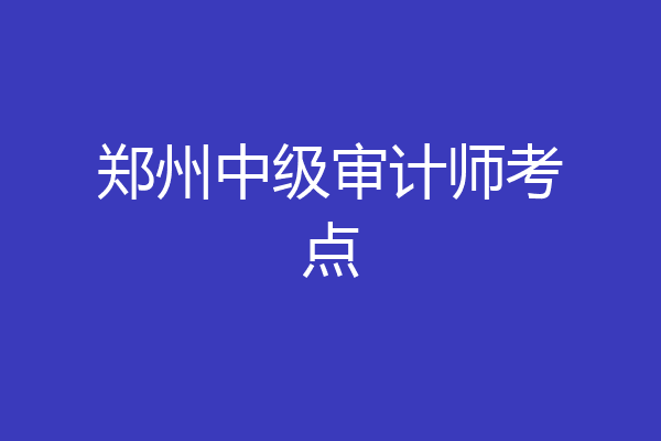 郑州中级审计师考点