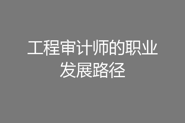 工程审计师的职业发展路径