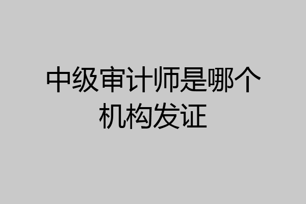 中级审计师是哪个机构发证