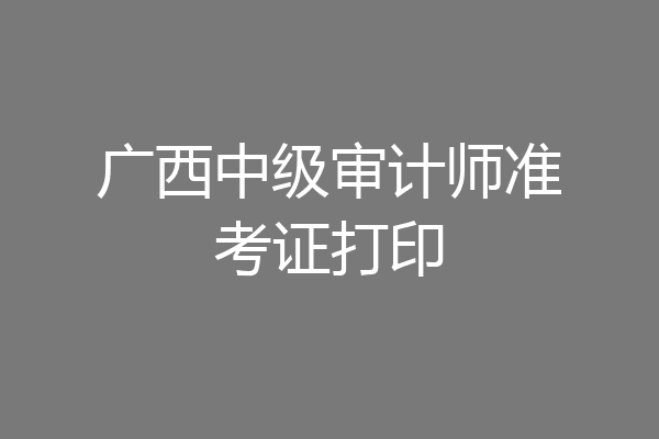 广西中级审计师准考证打印