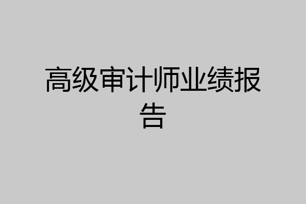 高级审计师业绩报告