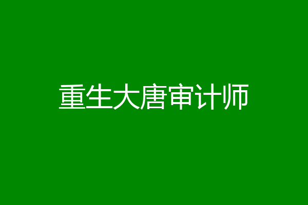 重生大唐审计师