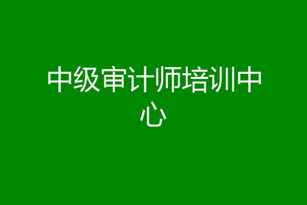 中级审计师培训中心