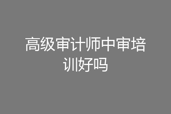 高级审计师中审培训好吗