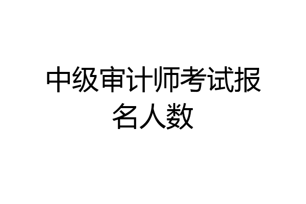 中级审计师考试报名人数