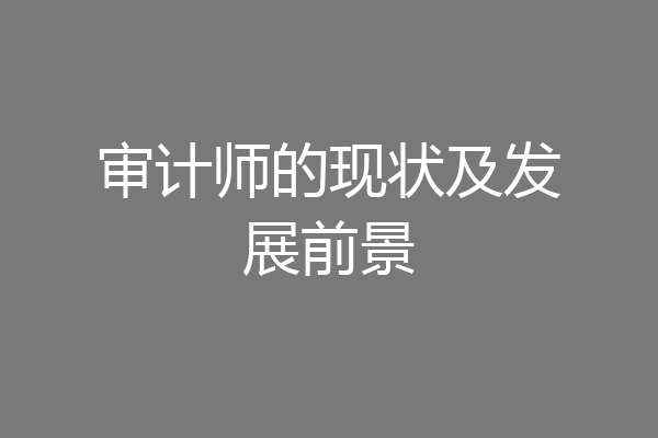 审计师的现状及发展前景