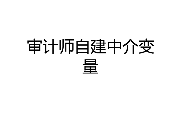 审计师自建中介变量