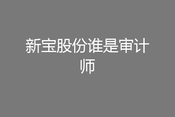 新宝股份谁是审计师