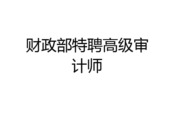 财政部特聘高级审计师
