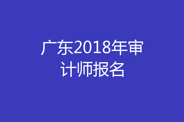 广东2018年审计师报名