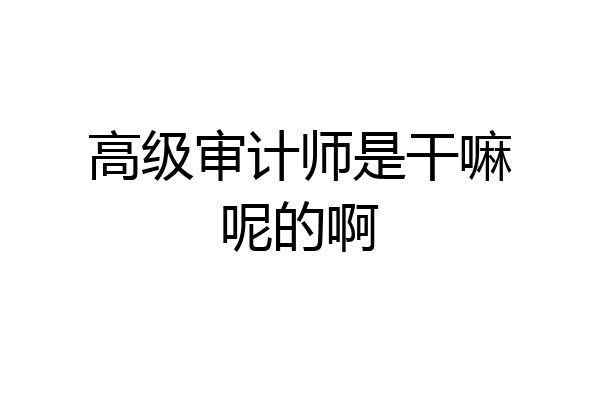 高级审计师是干嘛呢的啊