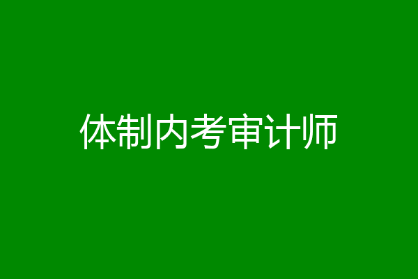 体制内考审计师