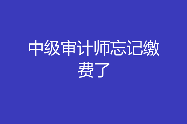 中级审计师忘记缴费了
