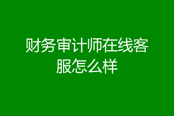 财务审计师在线客服怎么样