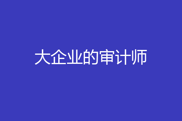 大企业的审计师
