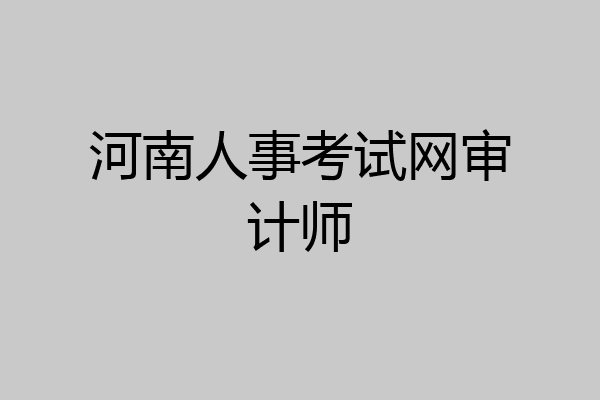 河南人事考试网审计师