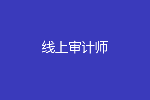 线上审计师